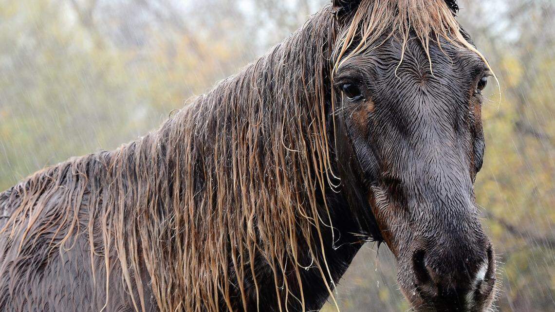 Summer is here and a new rain season started. What’s the outlook for the Central Coast?