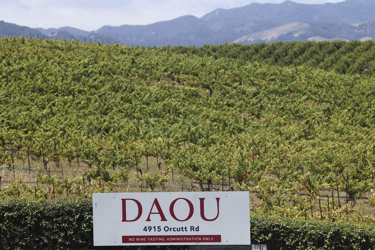 Treasury Wine Estates, owner of the DAOU brand, is listing some SLO County properties for sale, including a winery facility in this vineyard on Orcutt Road near San Luis Obispo, seen here on June 16, 2026.