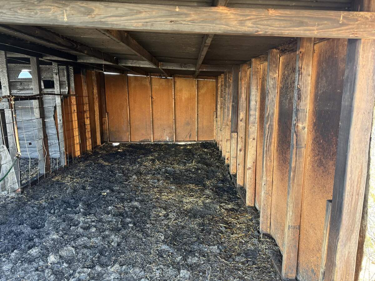A portion of the Jewish Community Center’s 10-acre property in San Luis Obispo was burned in an 18-acre fire on July 5, 2026. An outbuilding used as a stable, seen here, was the only building damaged.
