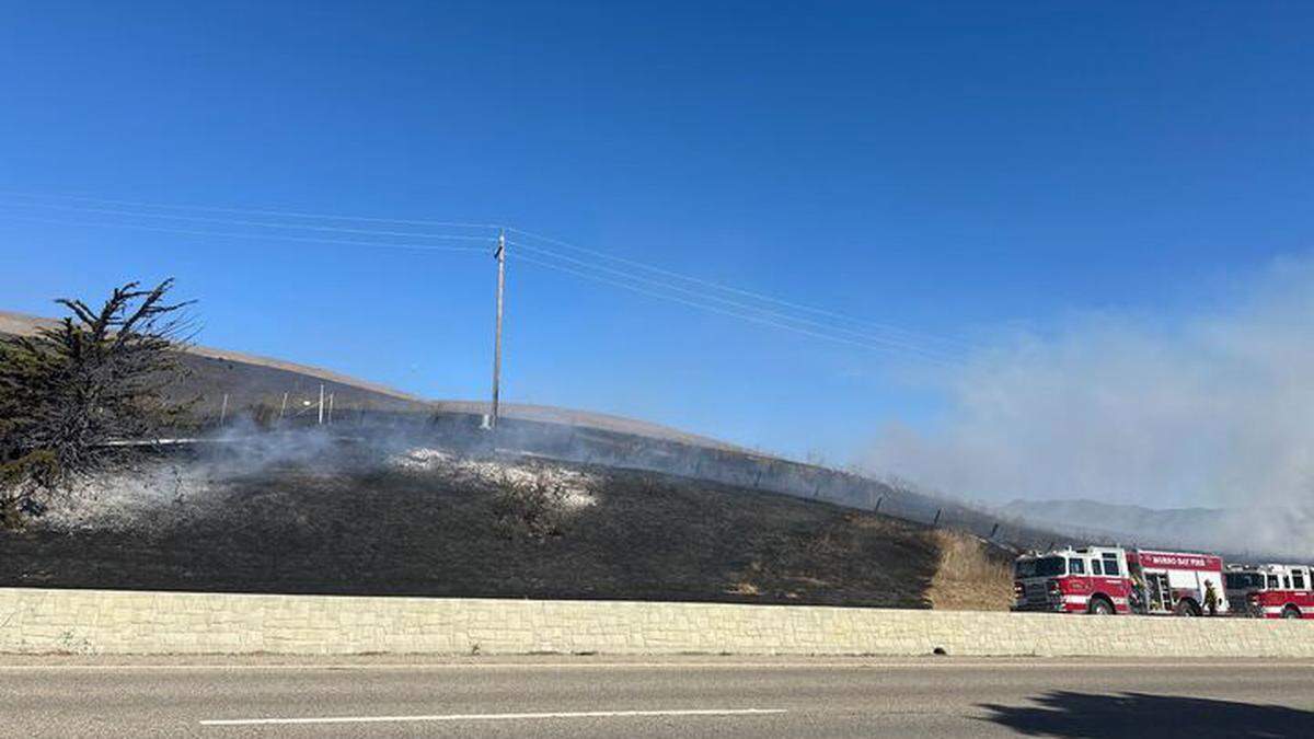 A vegetation fire was reported near 1401 Teresa Road in Morro Bay around noon on Nov. 1, 2023, burning around 10 acres with a rapid rate of spread.