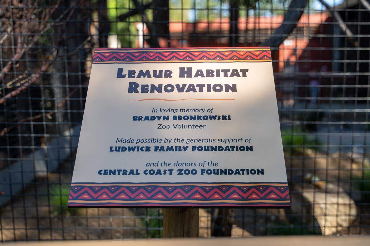 A plaque dedicating the Central Coast Zoo's new lemur habitat to late zoo volunteer Bradyn Bronkowski was unveiled on Thursday, May 15, 2026. The new exhibit includes red ruffed lemurs, ring-tailed lemurs, Madagascar teal, tortoises and more.