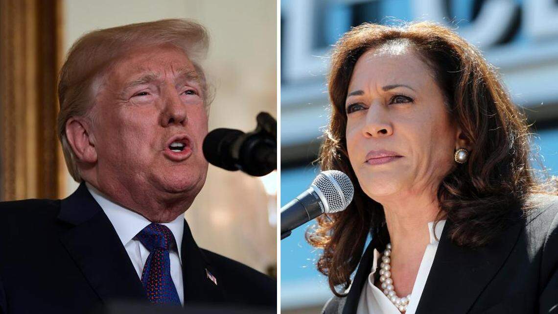 Trump carried Tri-Cities in 2016, 2020. How did the MAGA president do against Harris?