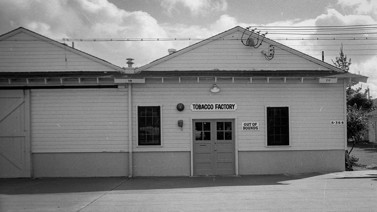 Raw tobacco is processed at this plant into chewing and smoking grades for use at state prison and medical institutions. The factory will probably be moved to another location. California Men’s Colony West facility tour on Dec. 2, 1970.