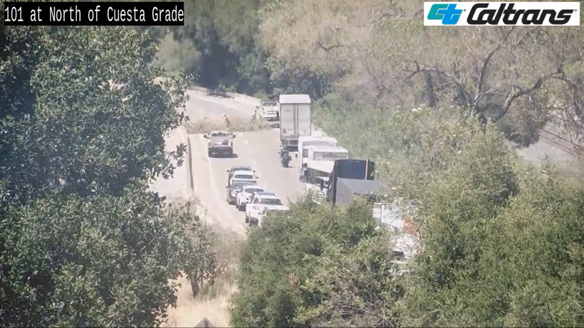 A large oak tree fell across northbound Highway 101 in San Luis Obispo County on June 30, 2026, causing a traffic jam on the Cuesta Grade.