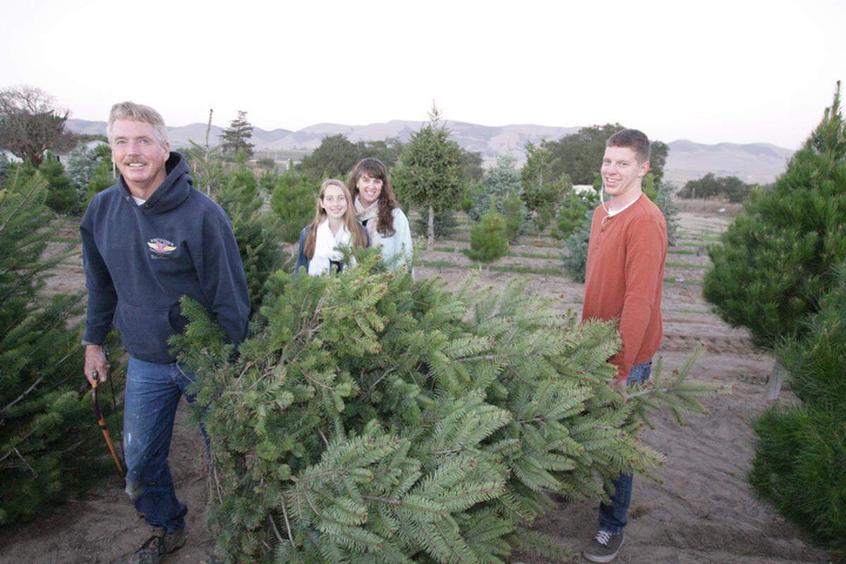 Christmas Tree Farm