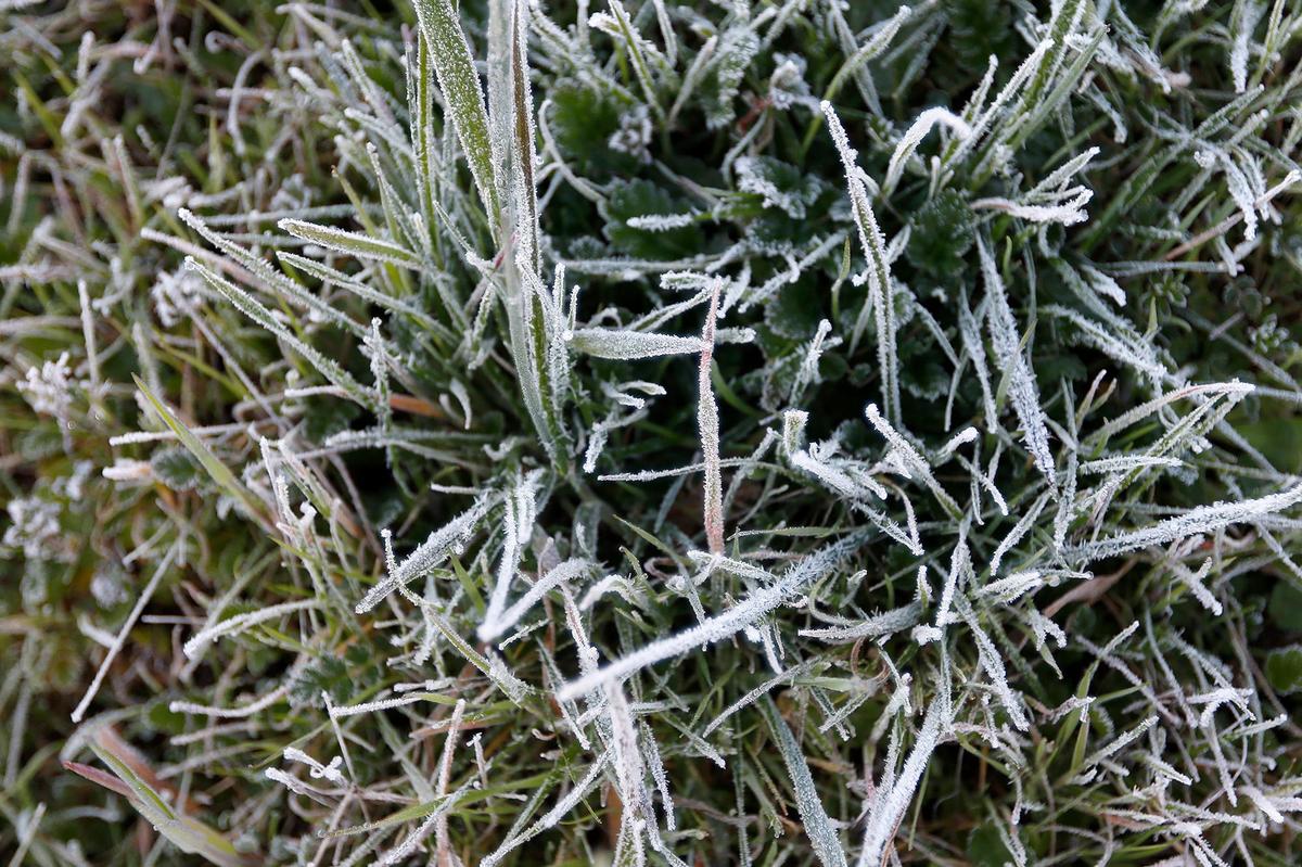 Santa Margarita Lake Road was edged with frosty grass on Wednesday morning, Feb. 23, 2022.