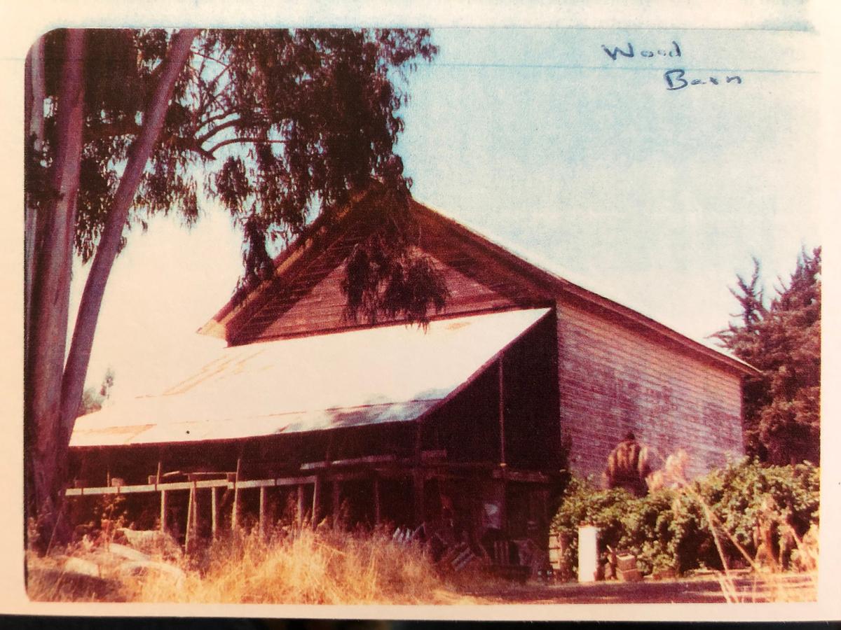 A photograph of the horse racing barn taken in the 1960s.