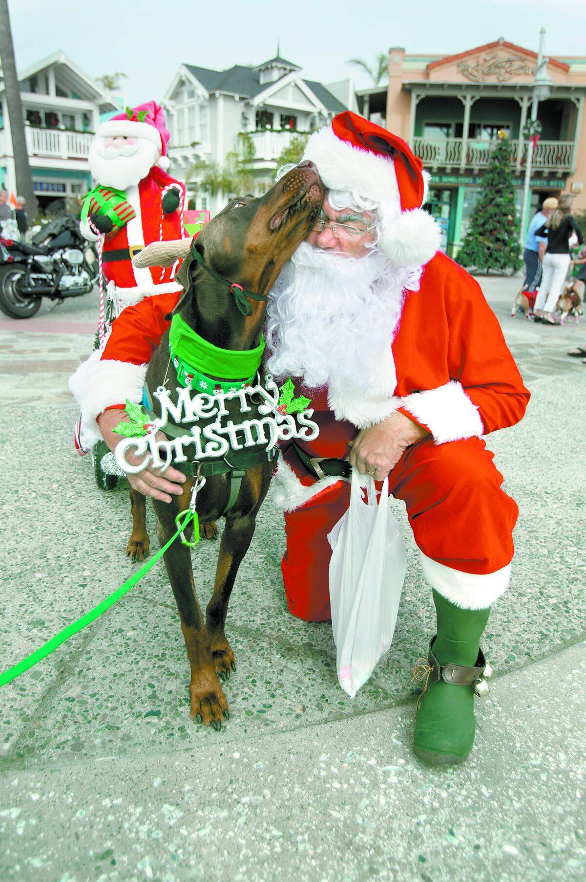 Santa's Dog Parade
