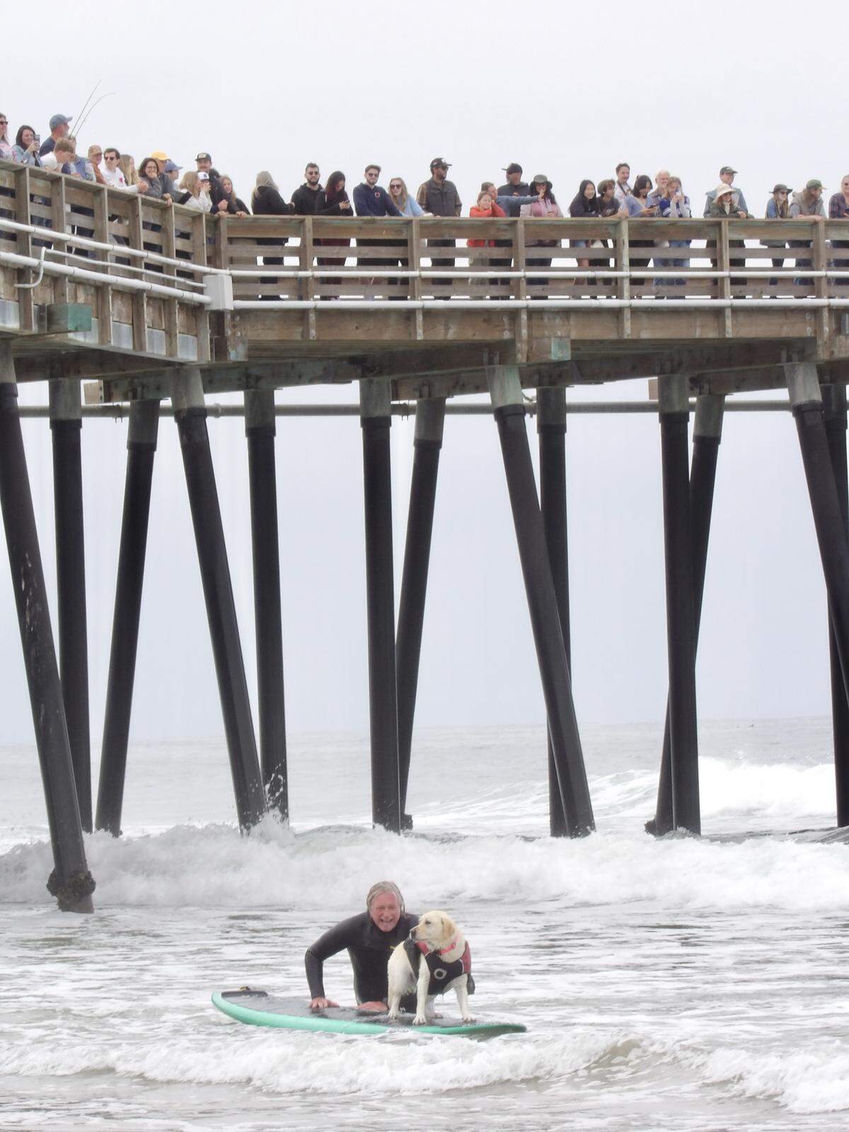 The World Dog Surfing Championships Exhibition Tour took over Pismo Beach on May 2, 2026. Rosie and partner hit the waves as a crowd watches from the Pismo Pier.