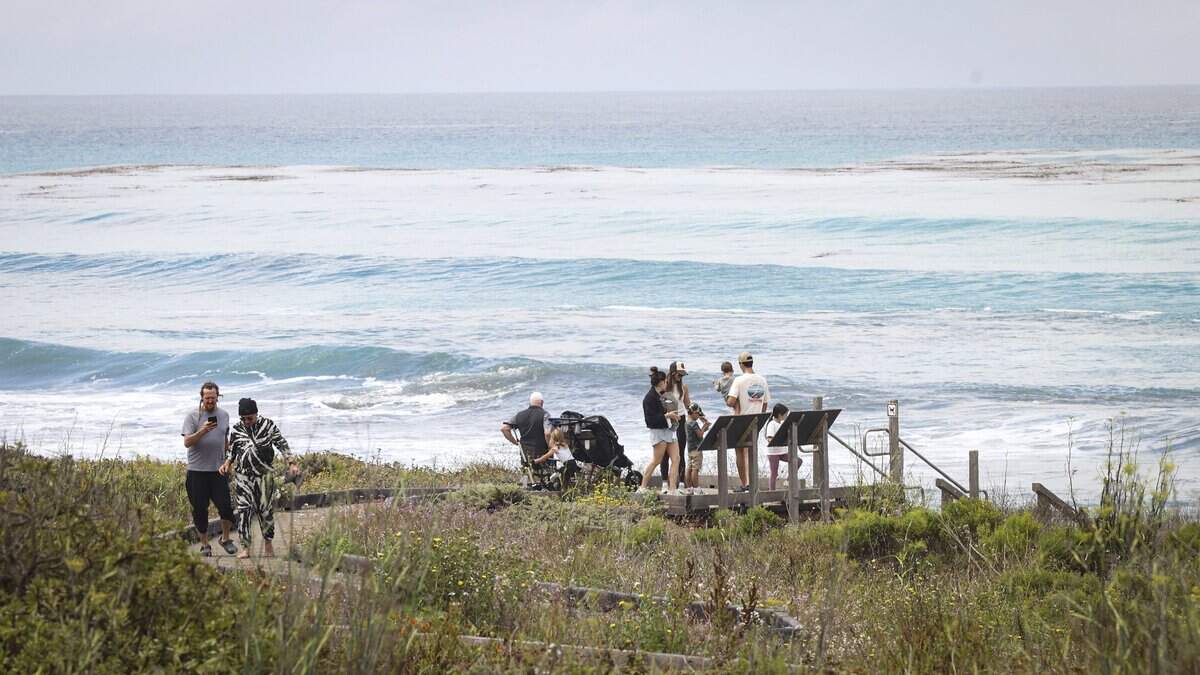 Beach-goers walk along the boardwalk on Moonstone Beach Drive in Cambria on June 18, 2026.