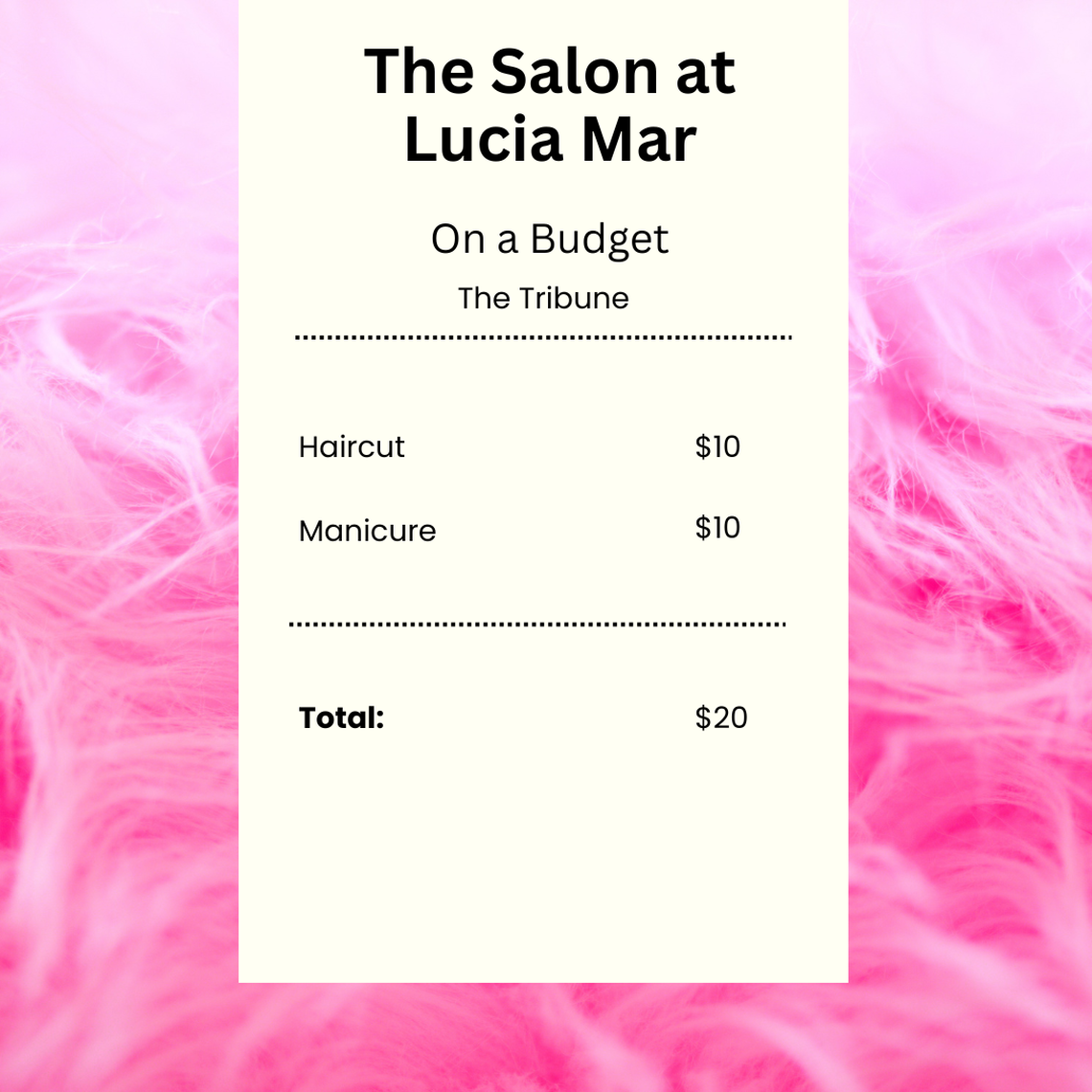 A graphic of an itemized receipt for the The Salon at Lucia Mar in Arroyo Grande.