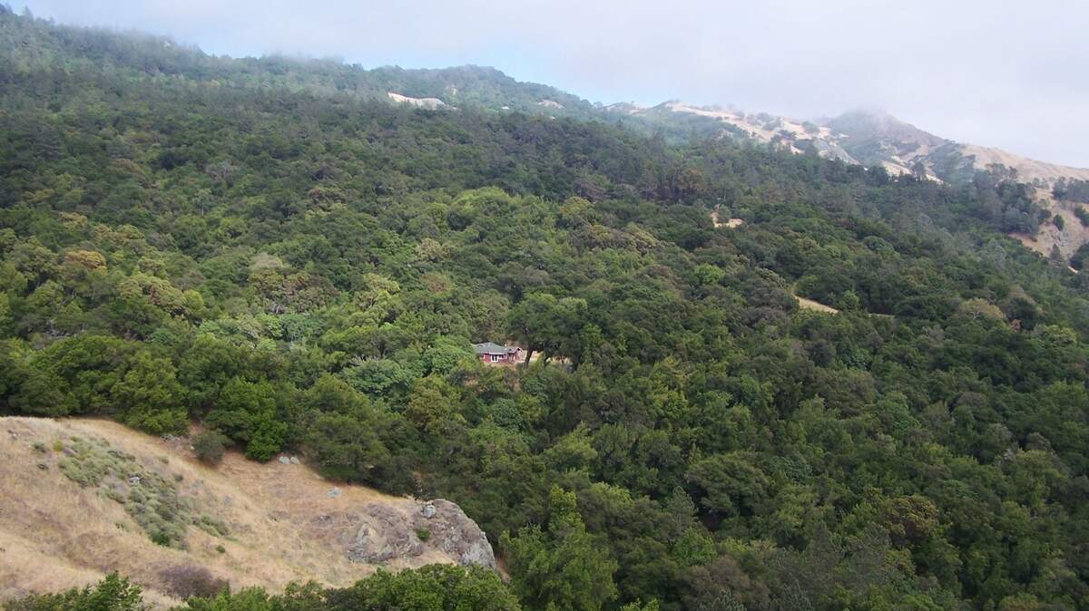 The Cambrian’s Mountain Musings columnist Marcia Rhoades’ house in the backcountry above Cambria.