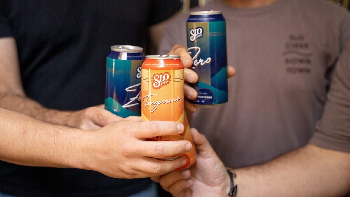 SLO Cider co-founders Pete Ayer, Jeremy Fleming and Nate Adamski and general manager Shawn Marchant toast with their product at the business' new 778 Higuera Street location on Wednesday, June 3, 2026. SLO Cider is set to open its downtown location on Friday, June 12, 2026.