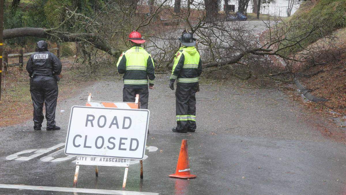 This oak tree fell on Bajada Avenue near Rosario Avenue in Atascadero on Wednesday, Jan. 27, 2021. The Atascadero Police and Fire departments closed the road until PG&E could clear the downed power lines and broken poles.