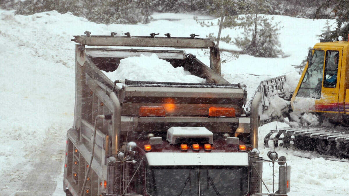 Dump trucks deposit loads of snow at Cypress Mountain in Canada. (Mike Siegel / Seattle Times / MCT)
