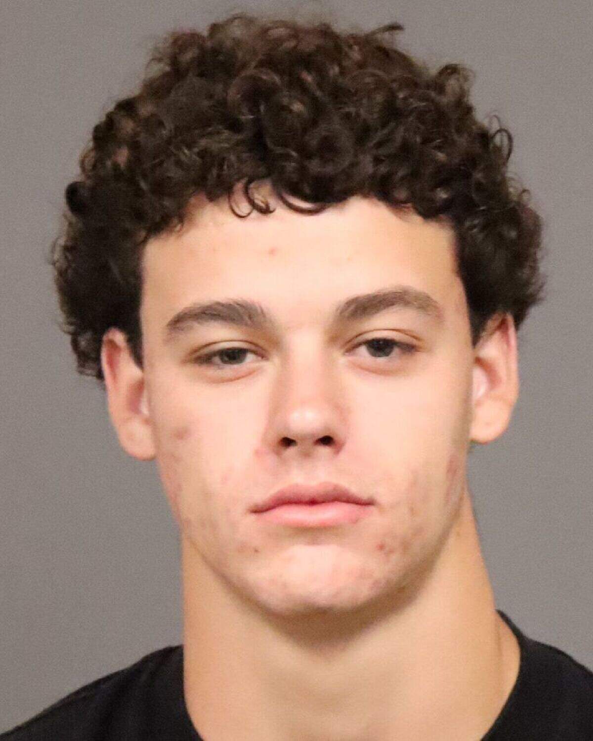 Arroyo Grande resident Boaz Winslow Brigham, 21, pleaded guilty to felony elder abuse after attacking a homeless man on March 20.