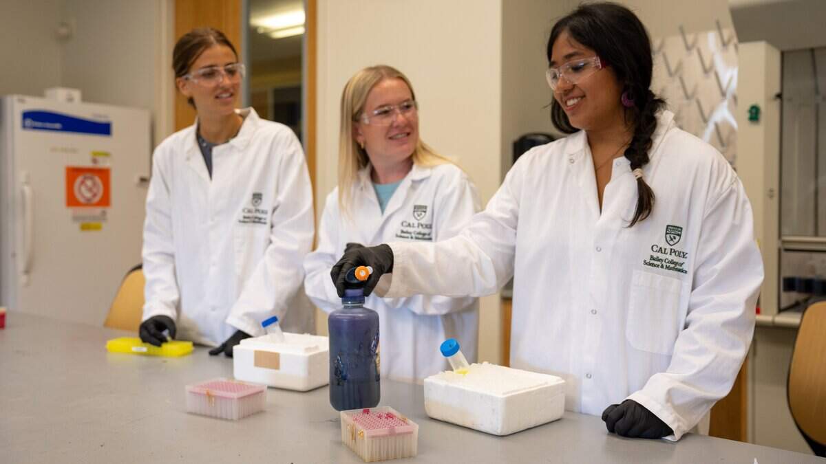 Fourth year biological science majors Grace Montgomery, Maia Lambson and Sunayana Nguyen mix up a solution containing synthetic cell components at Cal Poly on June 24, 2026. Synthetic cells are manufactured in batches of millions in labs, and can be created to accomplish specific functions.