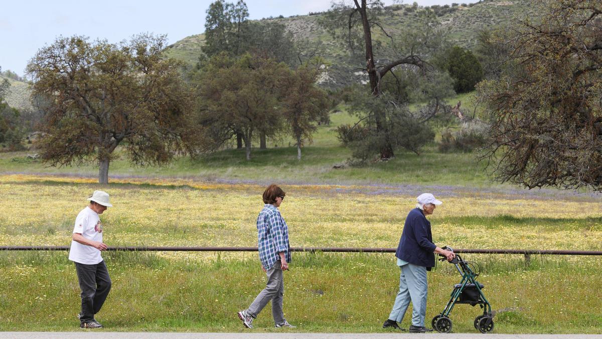 Atascadero residents from left: Bill Parente, Sally Dexter-Smith and Rosemary Dexter look at spring wildflowers at Shell Creek Road off of Highway 58. David Middlecamp 4-17-2020