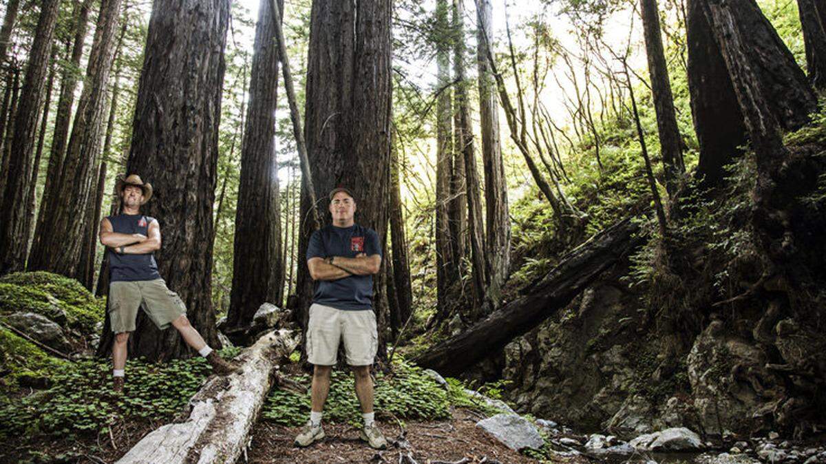 REDWOOD KINGS