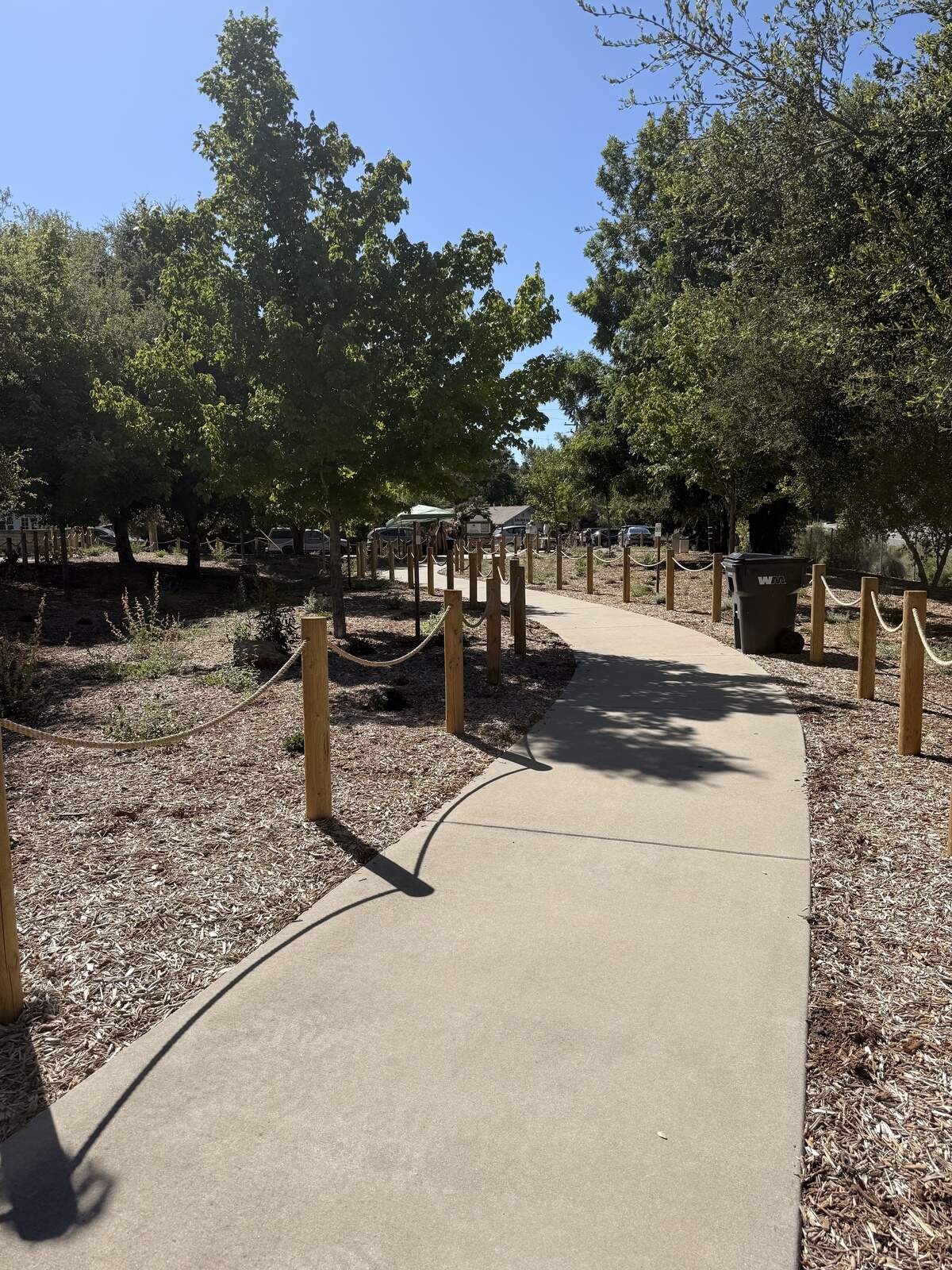 Atascadero’s monarch and pollinator habitat near the Highway 101 and 41 off-ramp is filled with more than 200 native species including milkweed, coyote brush and California asters. The city debuted the habitat on June 9, 2026.