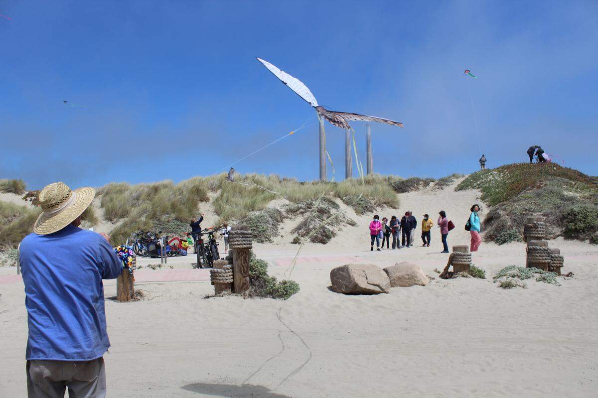 Don, a Morro Bay Kite Festival attendee, tries out a new owl kite he purchased from Beachfront Kites, Surreys and More on Saturday, April 30, 2022.