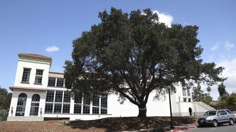 RIP SLO oak tree: You’re not the only to be lost in the name of development
