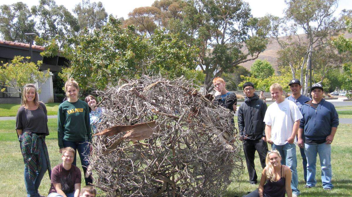 This 6-foot-tall sphere crafted of wooden sticks and debris and placed on a green lawn on the San Luis Obispo campus was created by a group of Cuesta College sculpture students to bring awareness to the California drought.