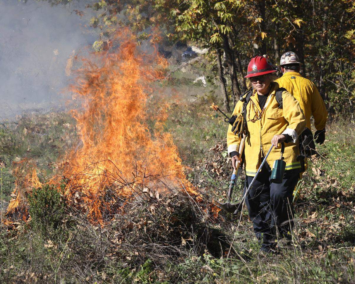 The yak titʸu titʸu yak tiłhini Northern Chumash Tribe led a cultural burn at the Johnson Ranch Open Space on Dec. 11, 2025. Here, retired Cal Fire Captain Brandi Plaskett uses a torch to ignite a burn pile.