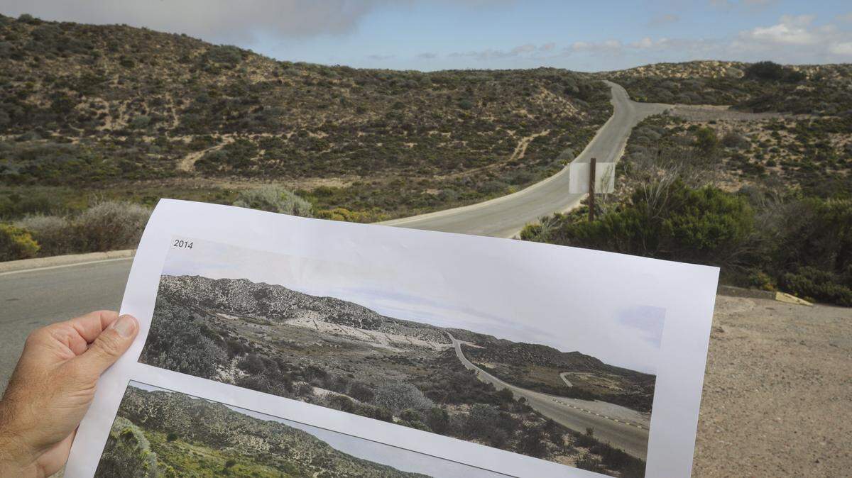 In 2014, about a decade ago, the scars from oil production were still visible at the Guadalupe-Nipomo Dunes. On Oct. 1, 2025, coastal dune scrub grew along the property. A 30-year cleanup of the former Unocal oil field could be completed during the next five years. Chevron agreed to donate the property to the U.S. Fish and Wildlife Service when the remediation project is finished.