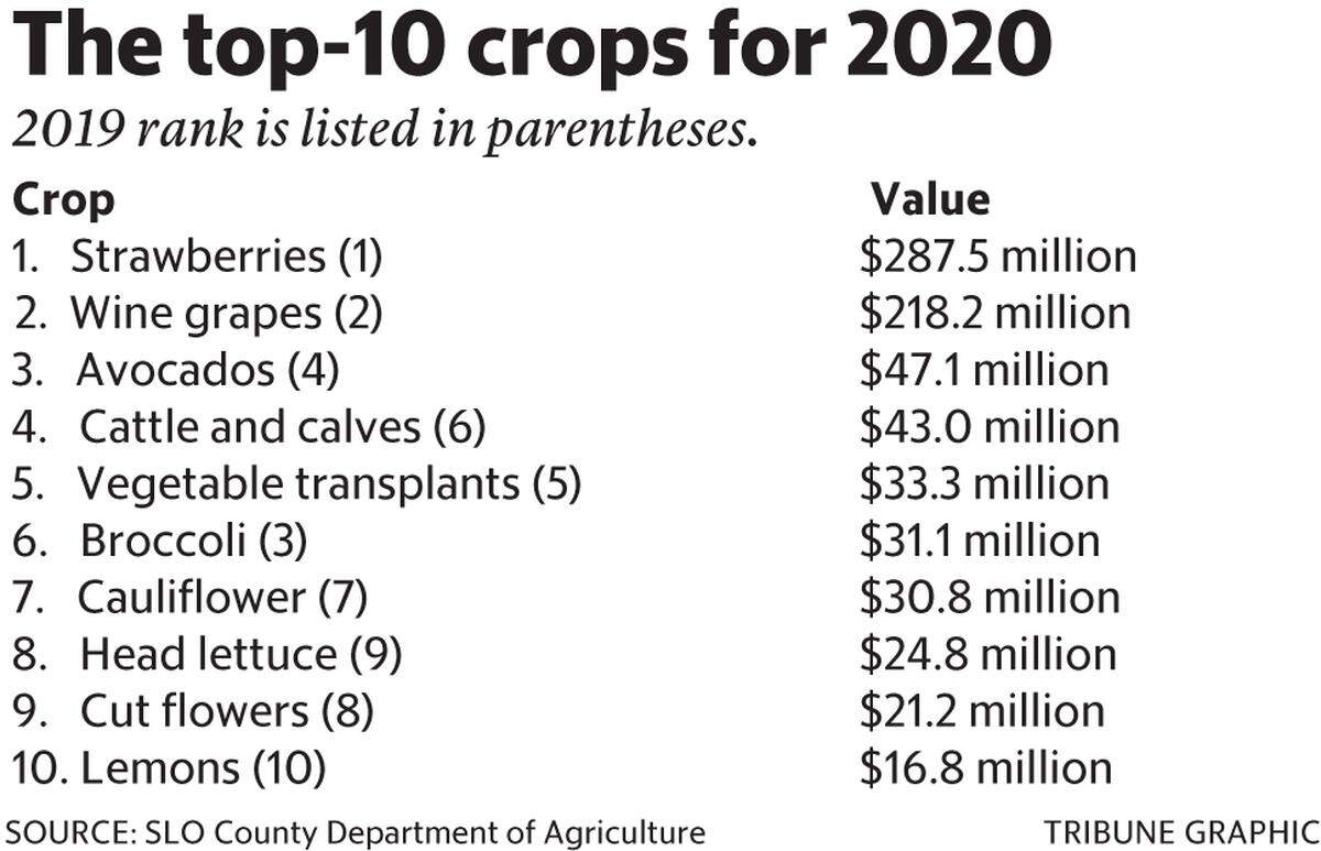2020 top crops