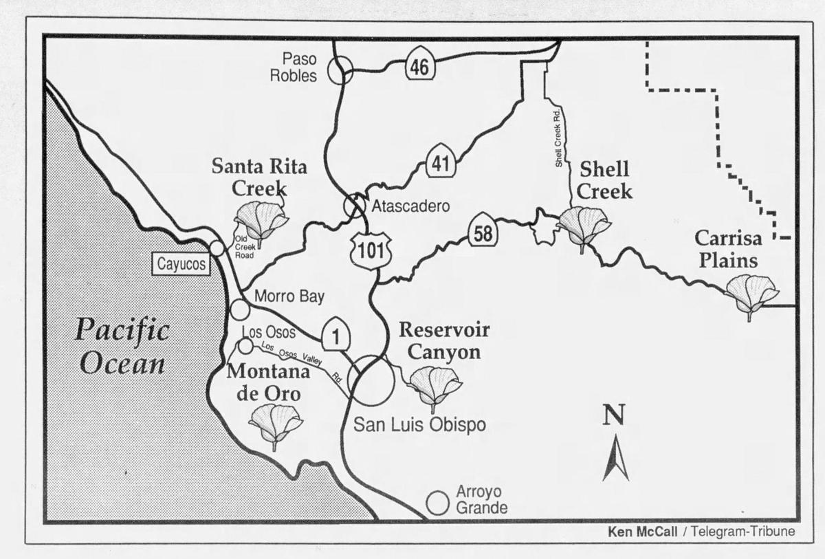 The Telegram-Tribune published a map of wildflower destinations April 9, 1988.