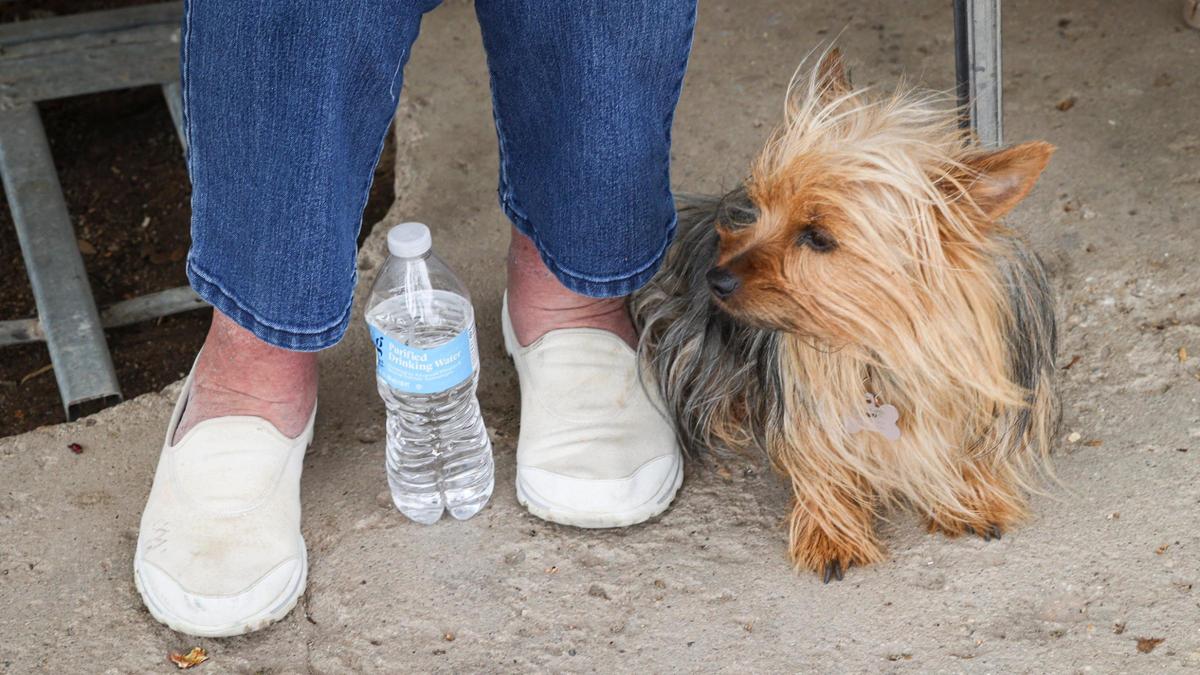 Candy Nachel lives on her property east of Templeton with her dog Remy, seen here on Feb. 27, 2025.