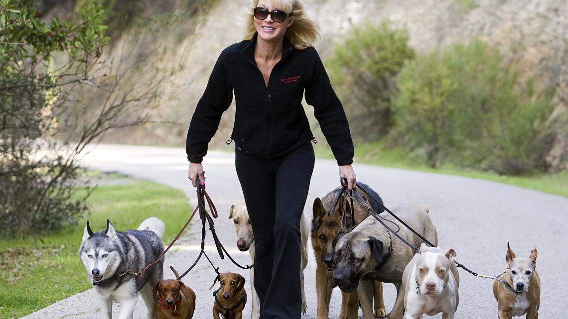 Cheri Lucas, founder of Second Chance at Love Humane Society in Templeton, takes a few dogs out for their morning walk. She founded her no-kill dog-rescue shelter in 1994.