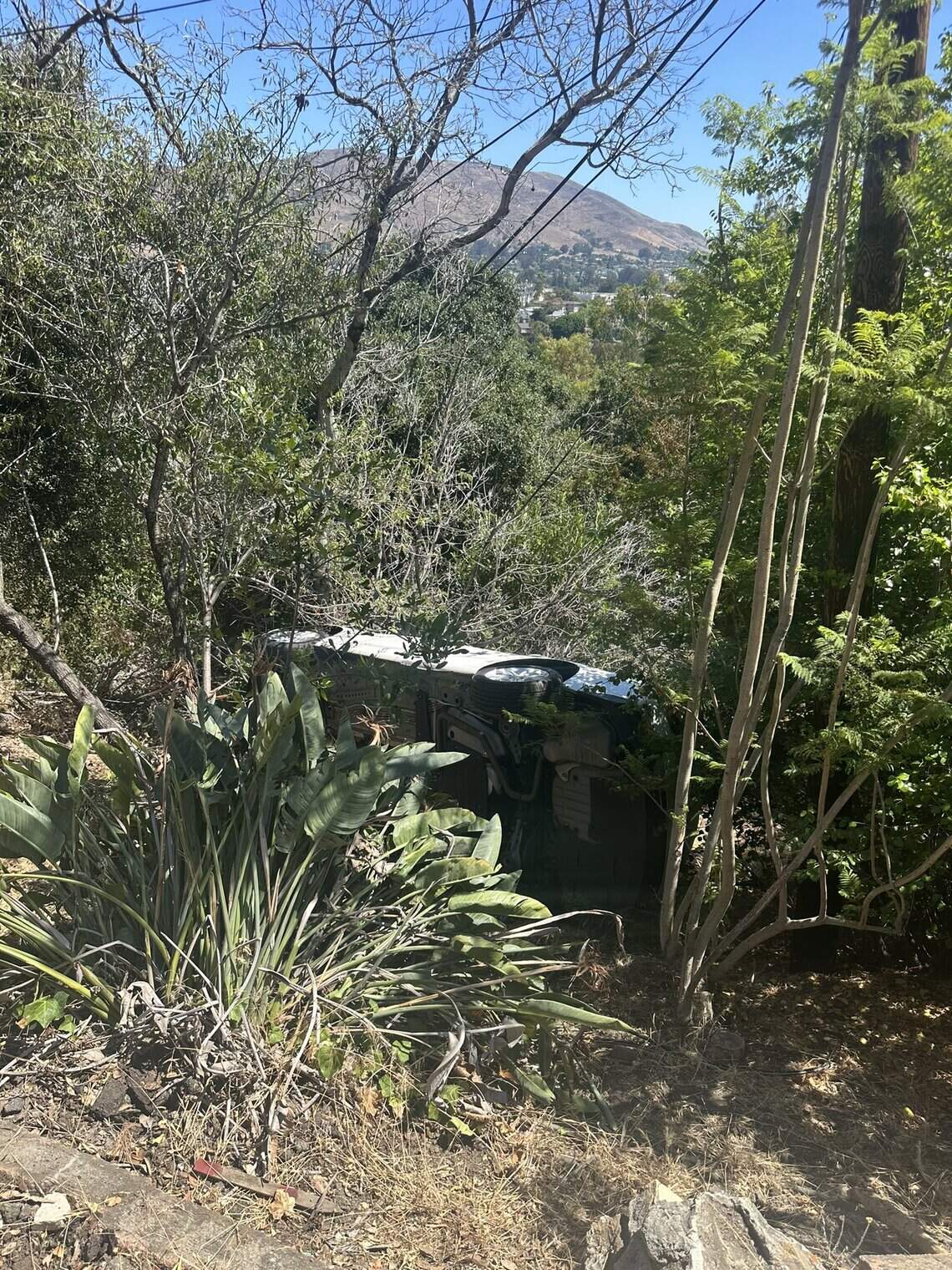SLO police: Man arrested for drunk driving after crashing car | San ...