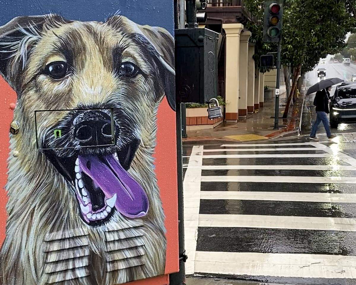 This painting of a dog on a traffic signal box doesn’t seem to mind the rain in downtown San Luis Obispo at Marsh and Santa Rosa streets on Nov. 17, 2025.