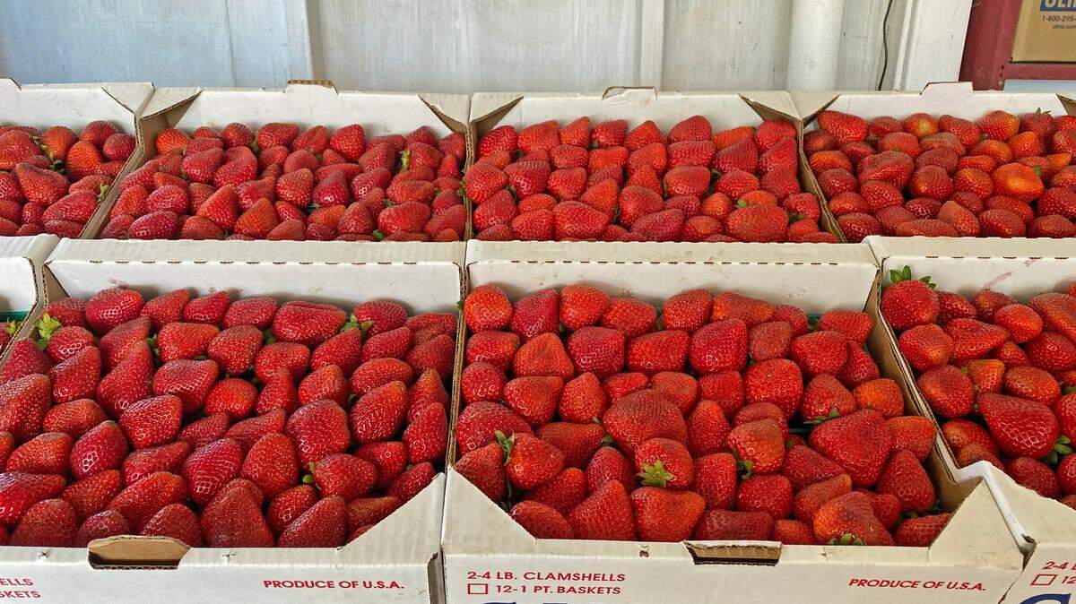 Strawberries are for sale at the Campbell Ranch produce stand east of Lompoc as the red gems again claimed the top spot in Santa Barbara County’s crop report.