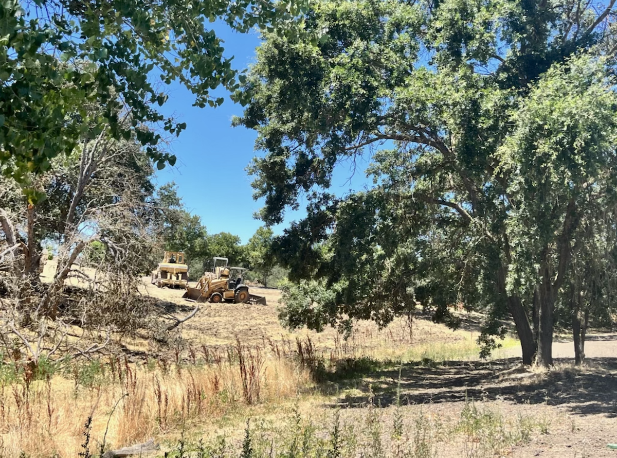The second round of construction, set to start in September will upgrade the park’s walking paths and turf areas.