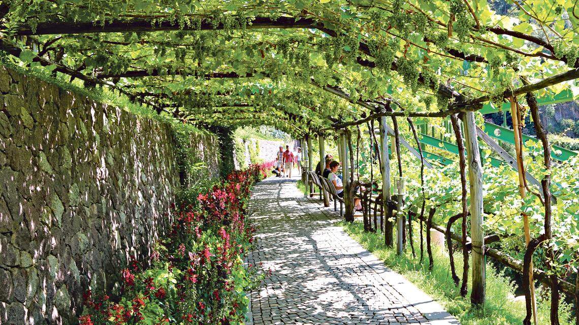 The terraced hillsides of the castle grounds lend themselves to pathways covered with grape arbors.