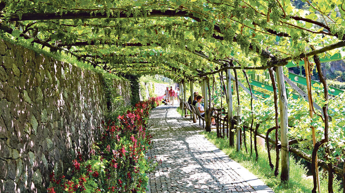The terraced hillsides of the castle grounds lend themselves to pathways covered with grape arbors.