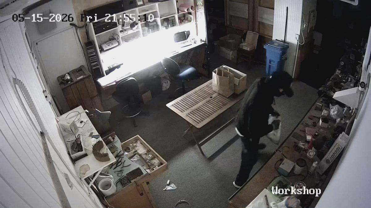 A masked individual stole from McLean Jewelry in Cayucos on May 15, 2026, security footage showed.