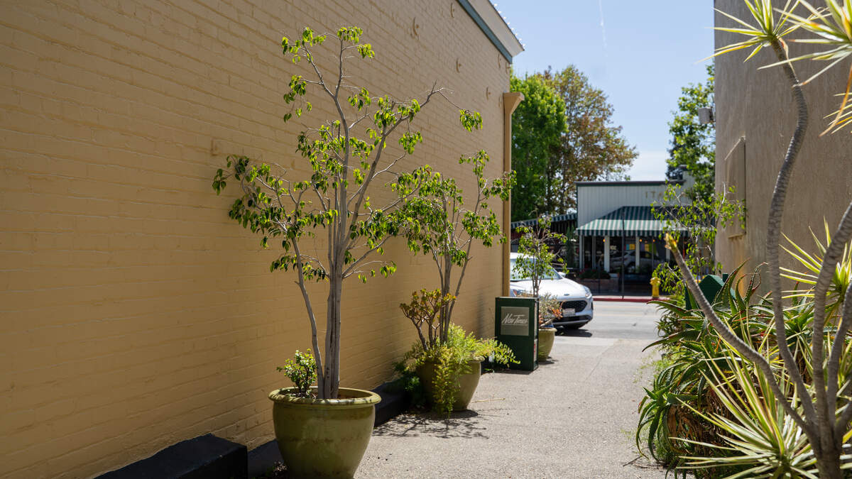 The western wall of Monarch Books in Arroyo Grande's Village will get a new mural after the City Council rejected calls by staff to deny the artwork, seen here on Wednesday, April 15, 2026. The mural will depict a monarch butterfly, books, a UFO and Central Coast wildlife.