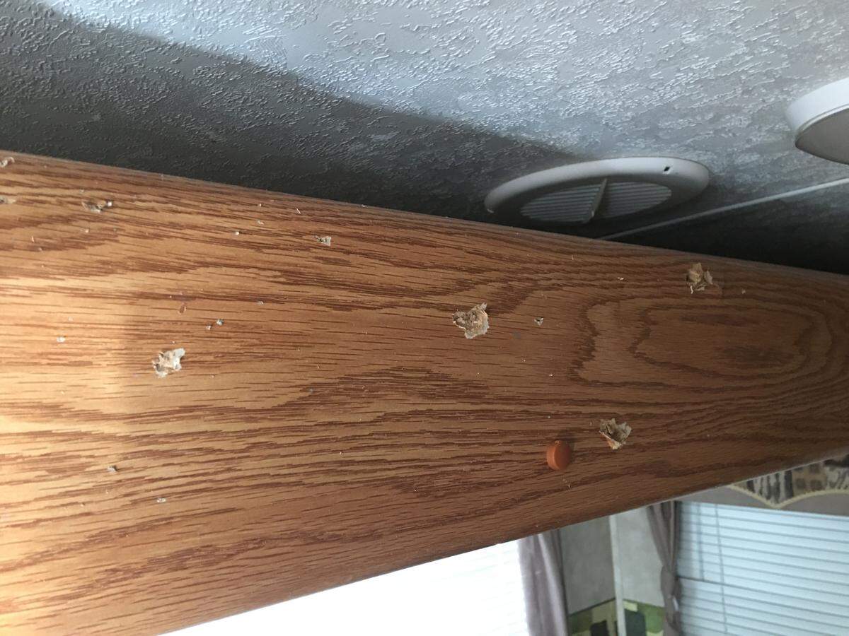 Mark Ramirez found his RV trailer damaged from gunfire on Nov. 20, 2019, at the Elks RV Storage in San Luis Obispo.