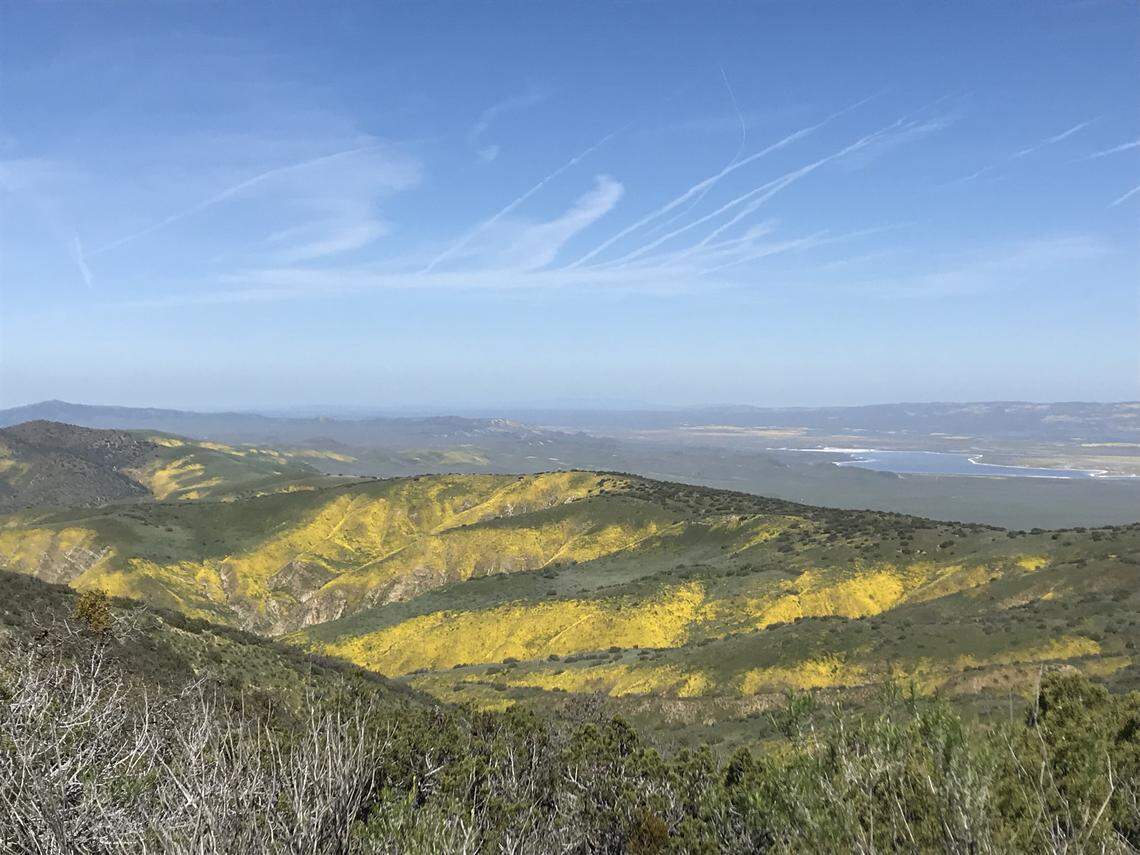 Soda Lake and south-facing hills covered in wildflowers are seen from a dispersed camping spot off Selby Road in the Caliente Range, above the Carrizo Plains National Monument.