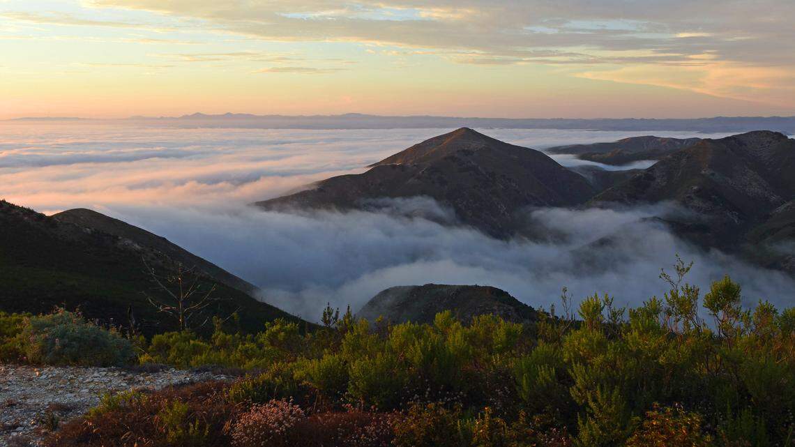A Catalina Eddy is forecast to develop Sunday into Tuesday, which will produce decreasing northwesterly winds and cause the marine layer to deepen and move further inland during the night and morning hours with pockets of fog and drizzle throughout the coastal regions of San Luis Obispo and northern Santa Barbara counties.