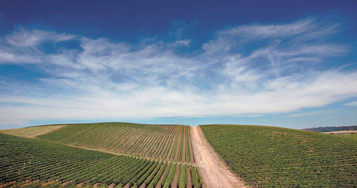Vina Robles’ vineyards in Paso Robles.