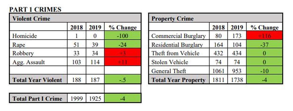 A screen grab of the San Luis Obispo Police Department’s annual report to the city council March 3, 2020.