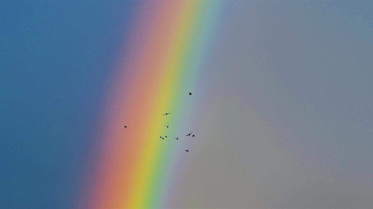A rainbow shot by meteorologist John Lindsey.