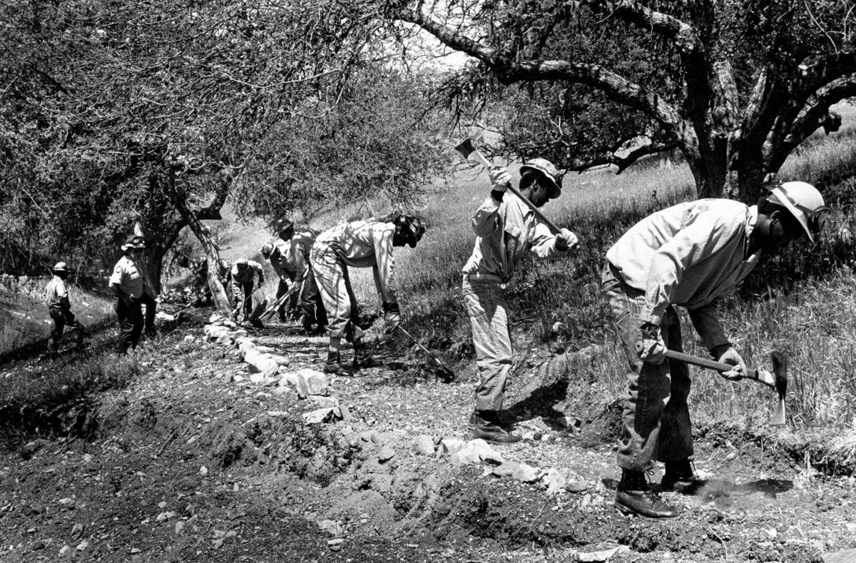 Conservation crews from Los Robles camp clear brush from a trail near Lake Nacimento in 1988.