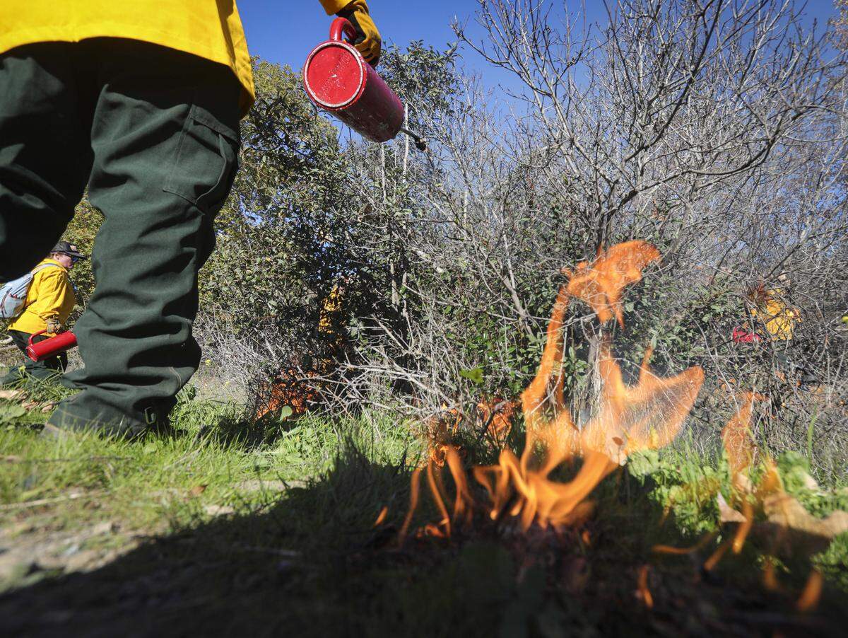 The yak titʸu titʸu yak tiłhini Northern Chumash Tribe led a cultural burn at the Johnson Ranch Open Space on Dec. 11, 2025.