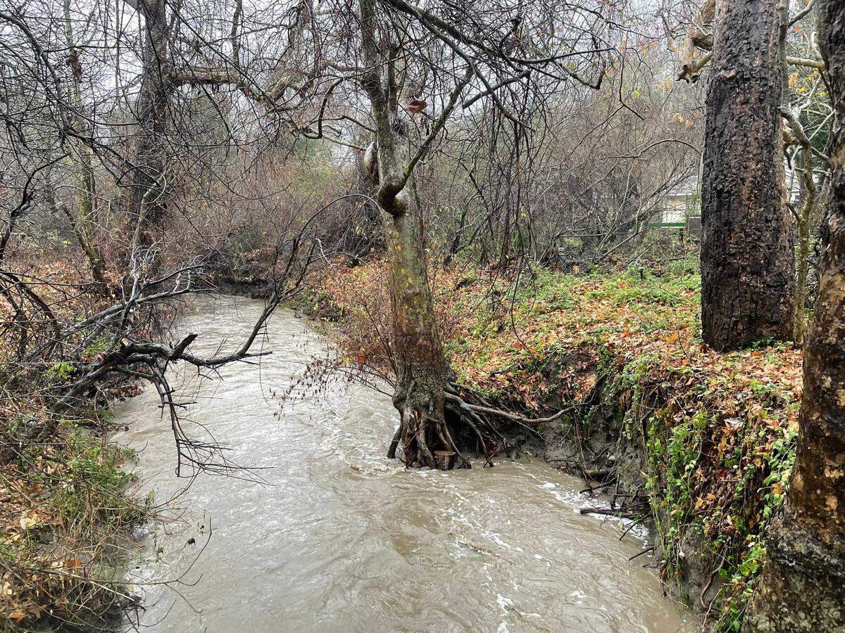 San Luis Obispo Creek is seen from the Bob Jones City to the Sea Bike Trail on Thursday, Jan. 28, 2021.